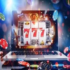 bajeevip24